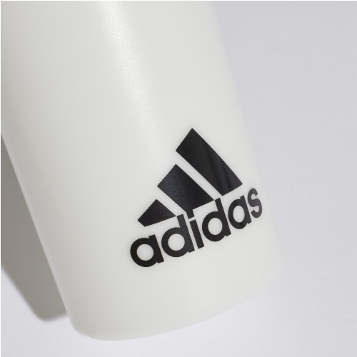 ბოთლი