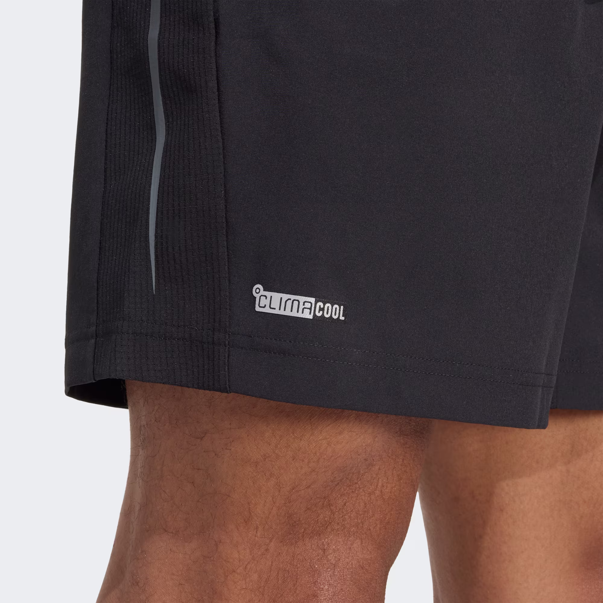 მამაკაცის შორტი