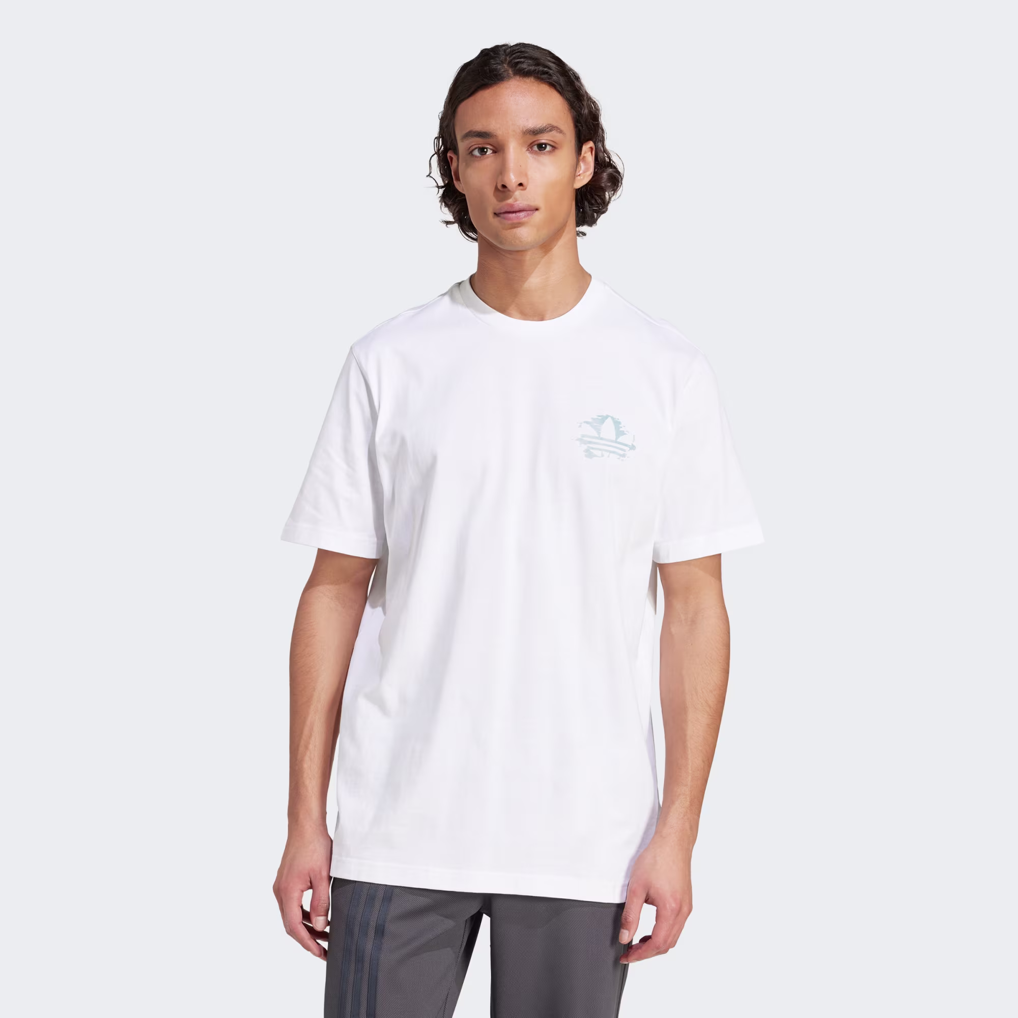 Adidas მამაკაცის მაისური GRAPHIC TEE