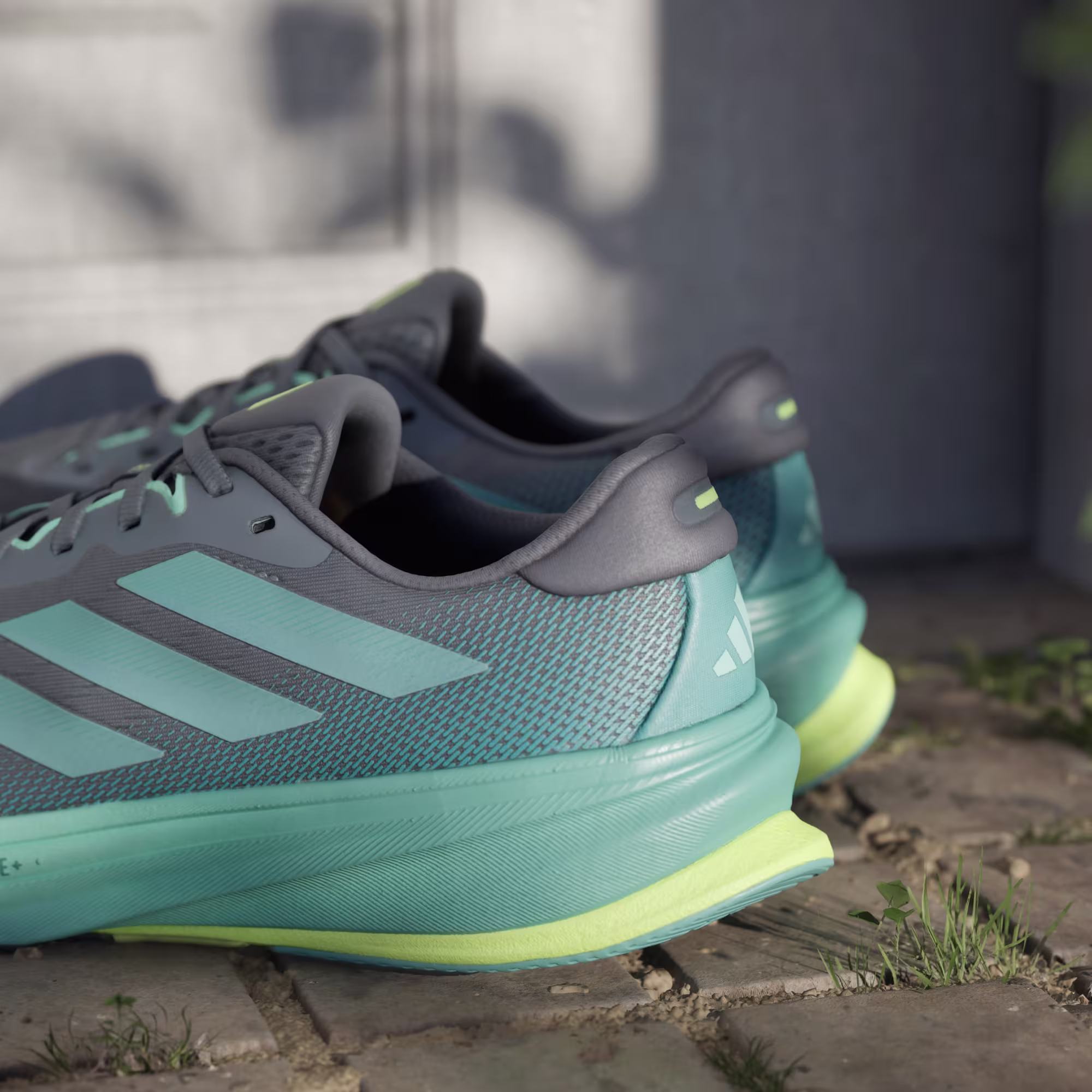 Adidas მამაკაცის სპორტული ფეხსაცმელი