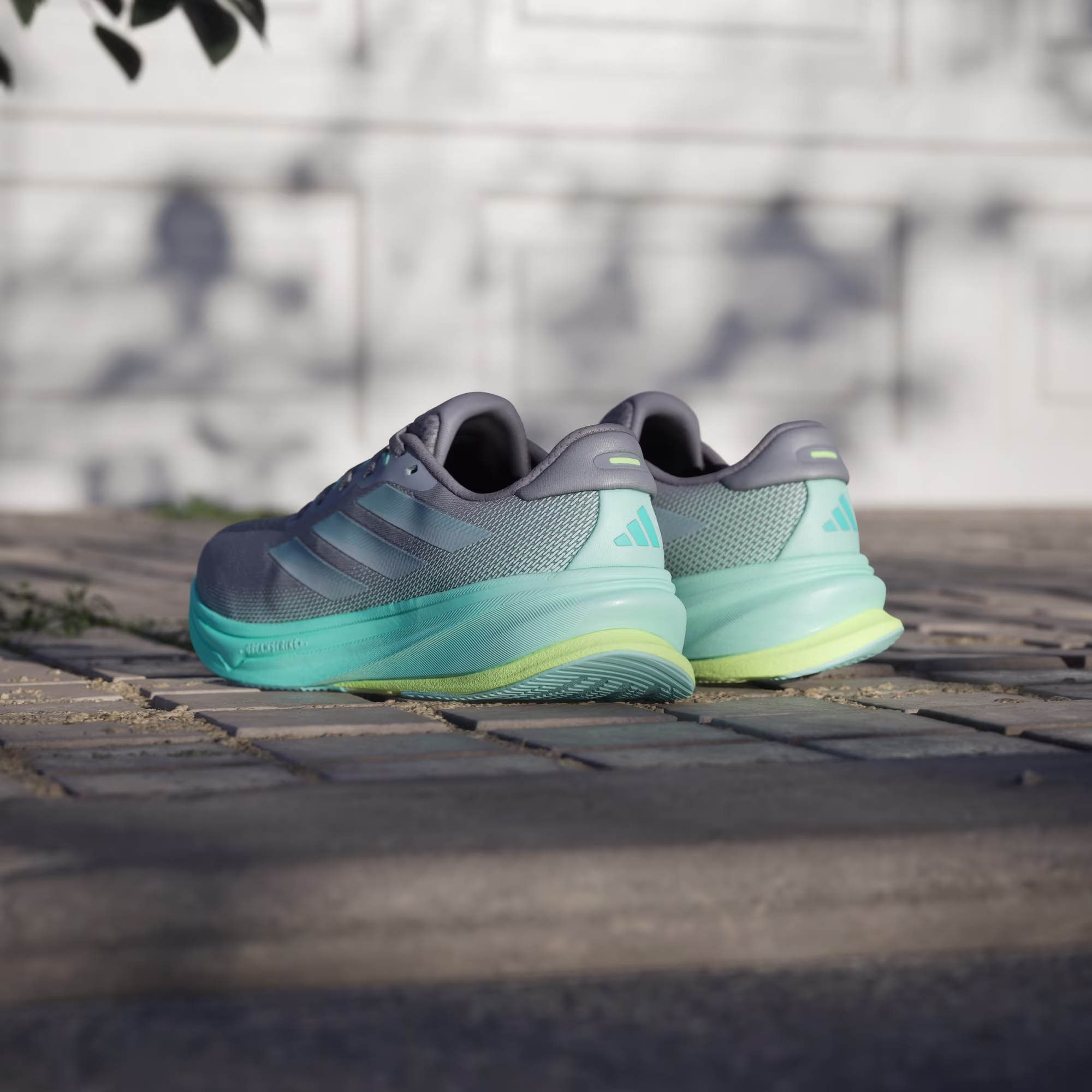 Adidas ქალის სპორტული ფეხსაცმელი