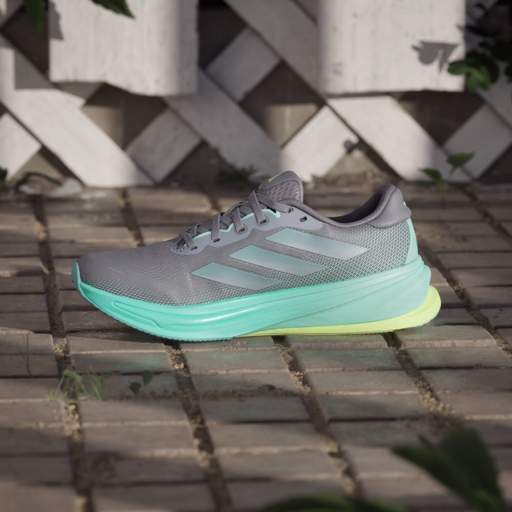 Adidas ქალის სპორტული ფეხსაცმელი