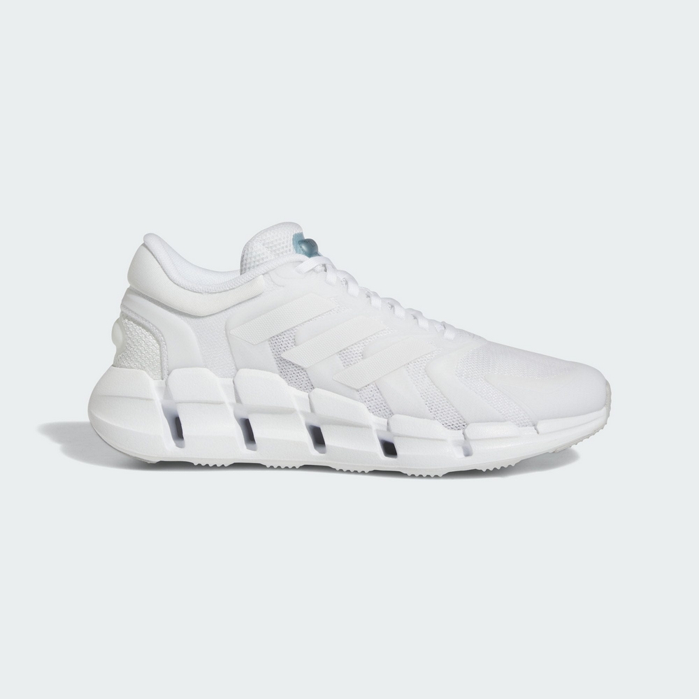 Adidas ქალის სპორტული ფეხსაცმელი VENTICE CLIMACOOL W