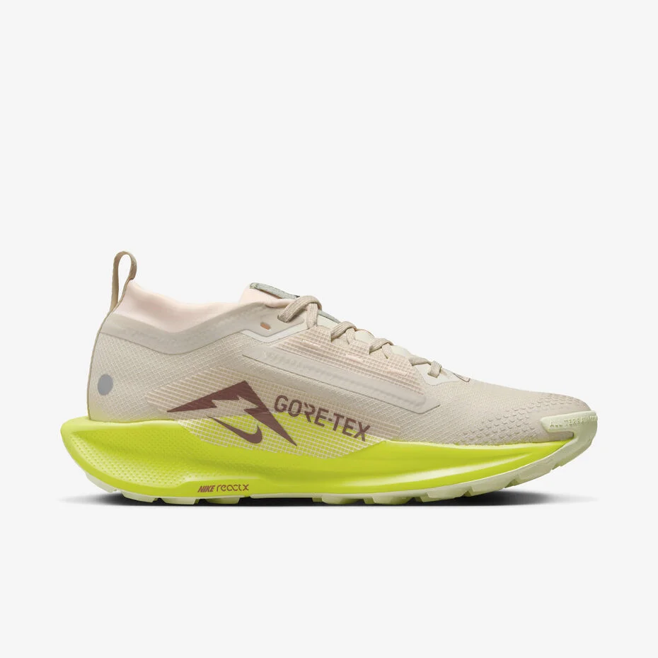 Nike ქალის სპორტული ფეხსაცმელი W PEGASUS TRAIL 5 GTX