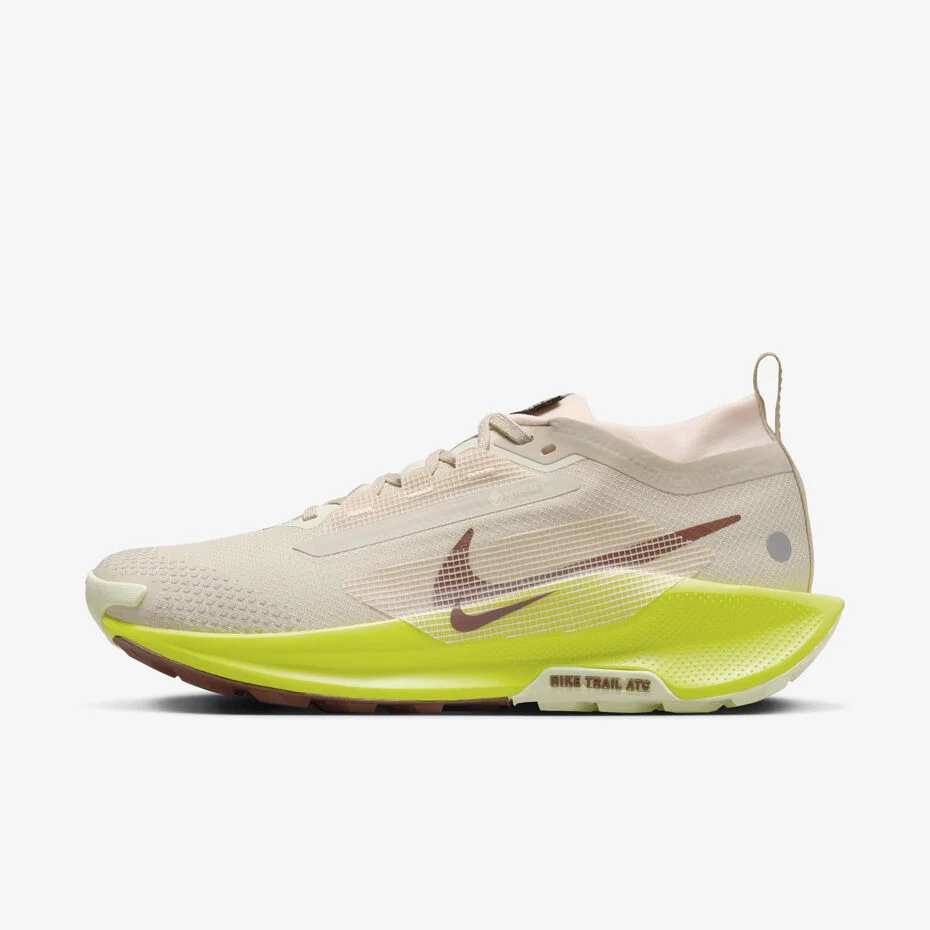 Nike ქალის სპორტული ფეხსაცმელი W PEGASUS TRAIL 5 GTX