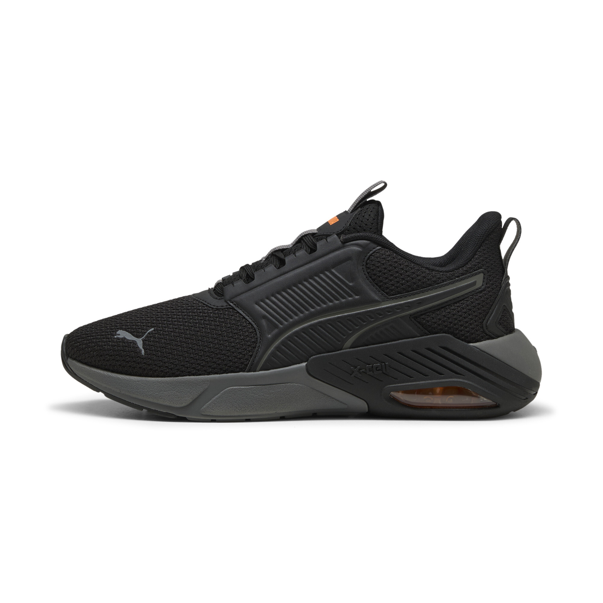 Puma ბოტასი