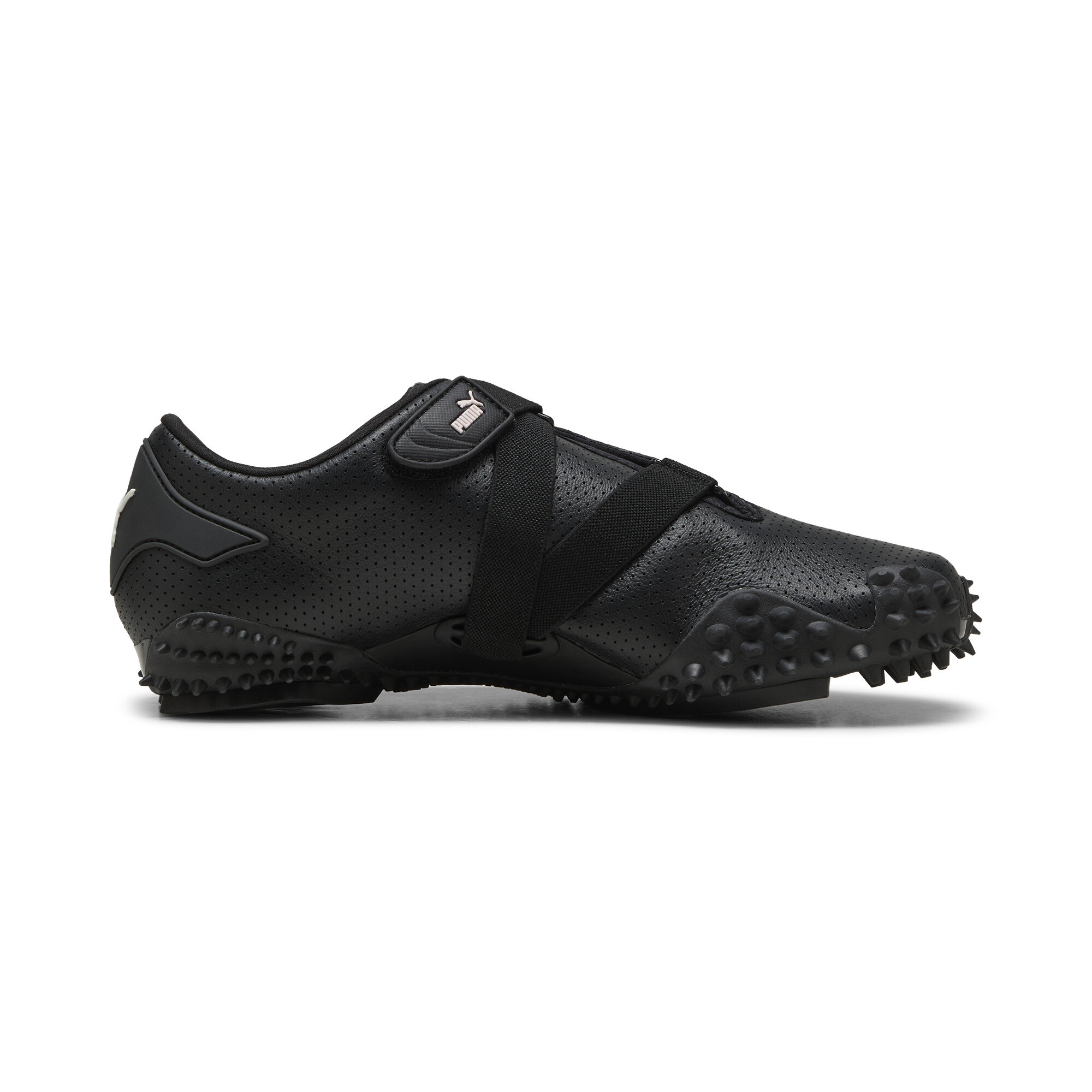 Puma ბოტასი