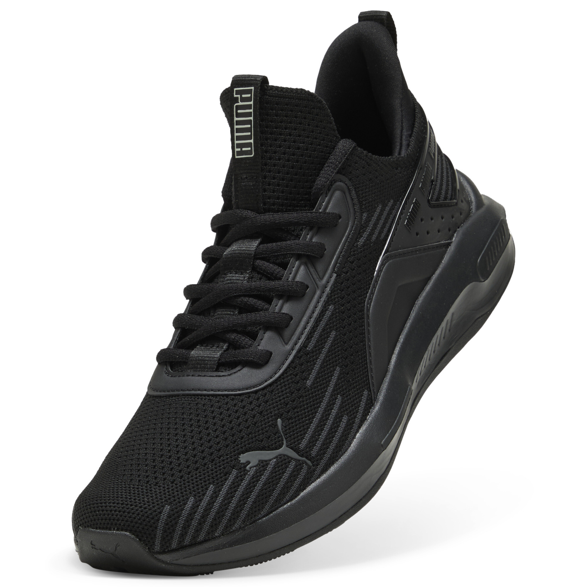 Puma ბოტასი