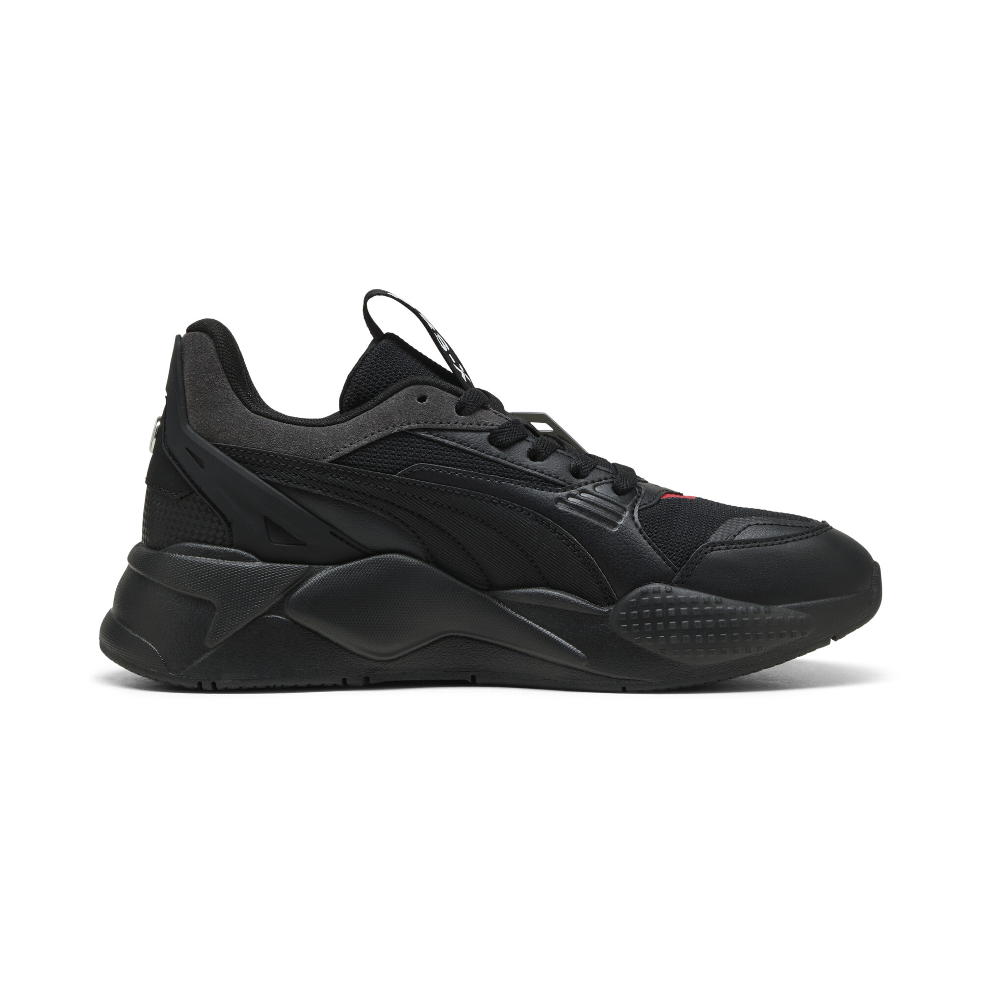 Puma ბოტასი