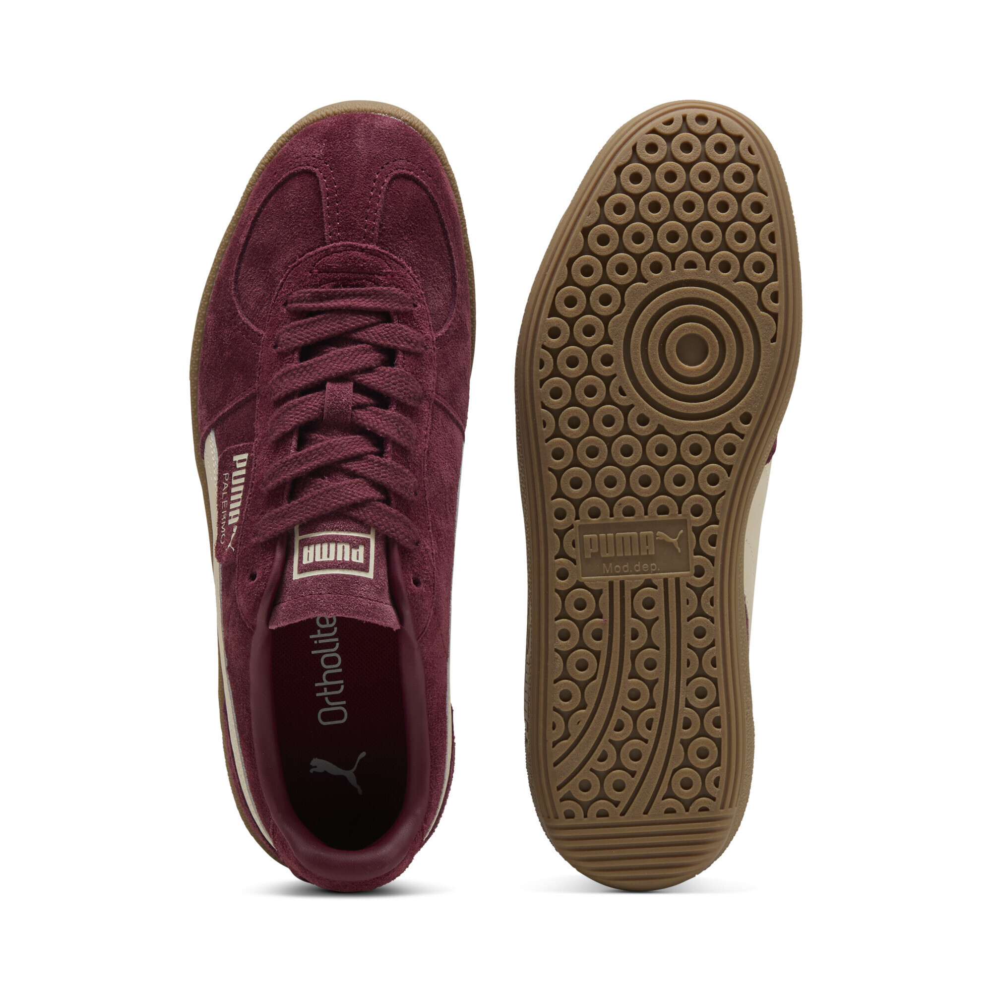 Puma ბოტასი
