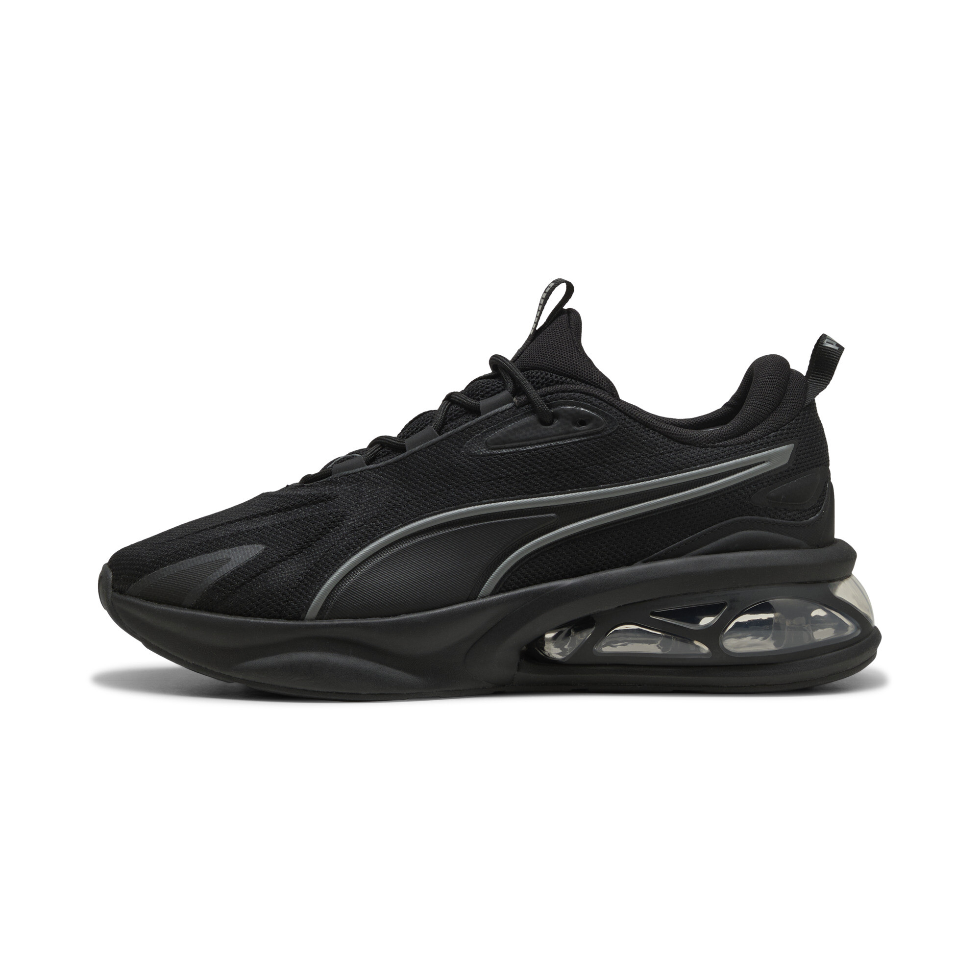 Puma ბოტასი