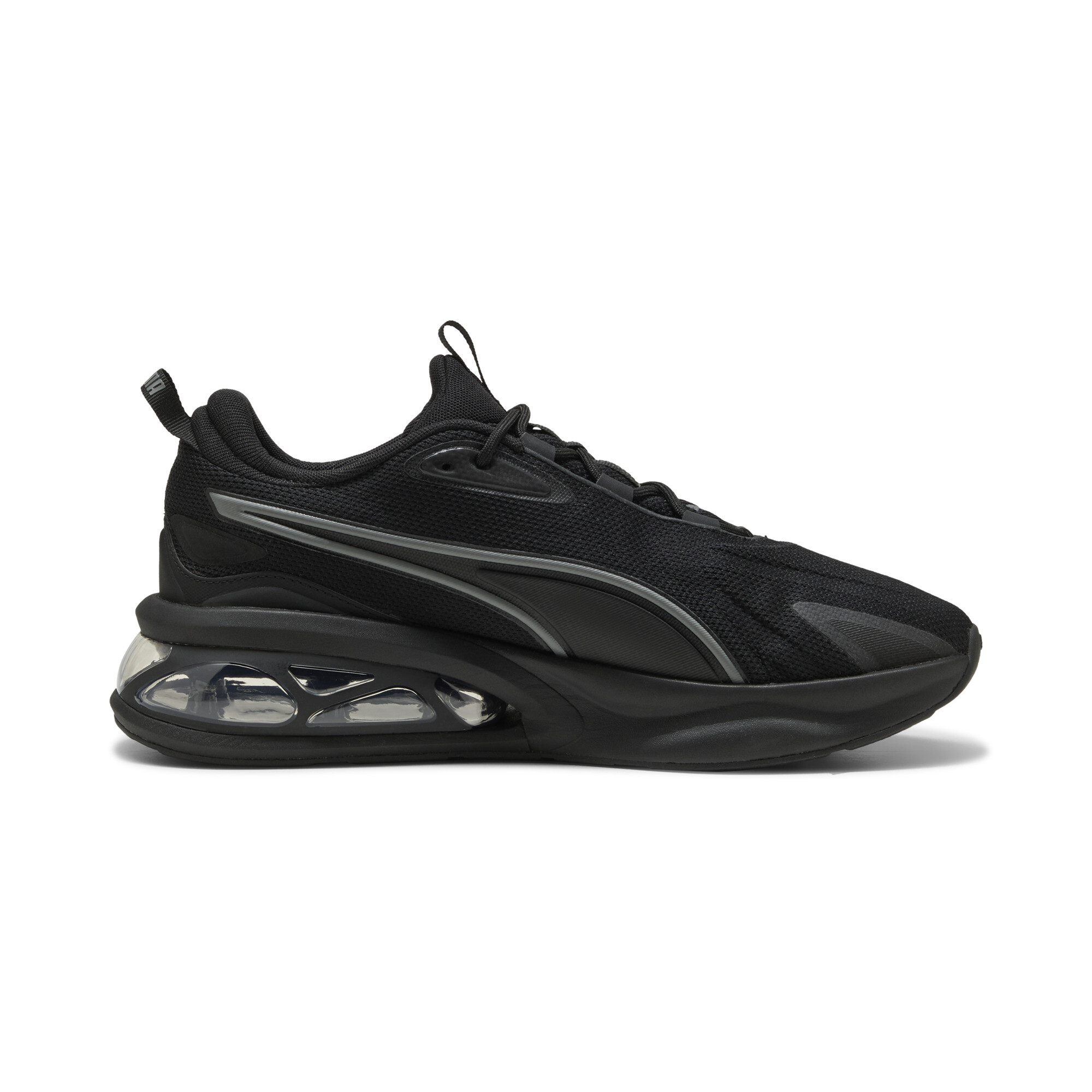 Puma ბოტასი