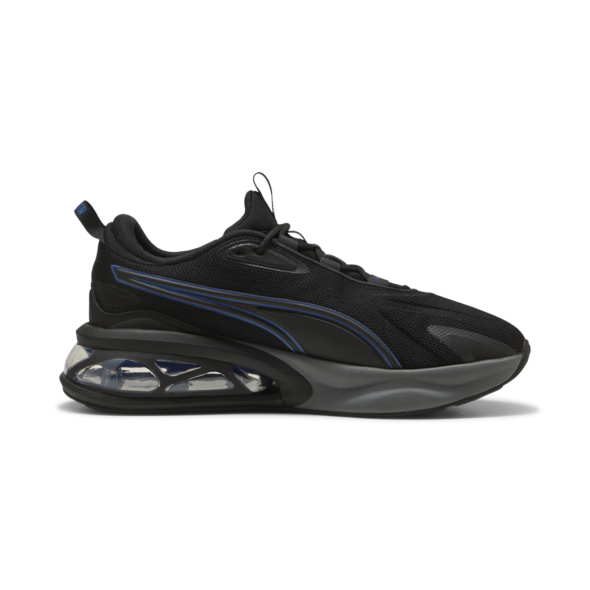 Puma ბოტასი