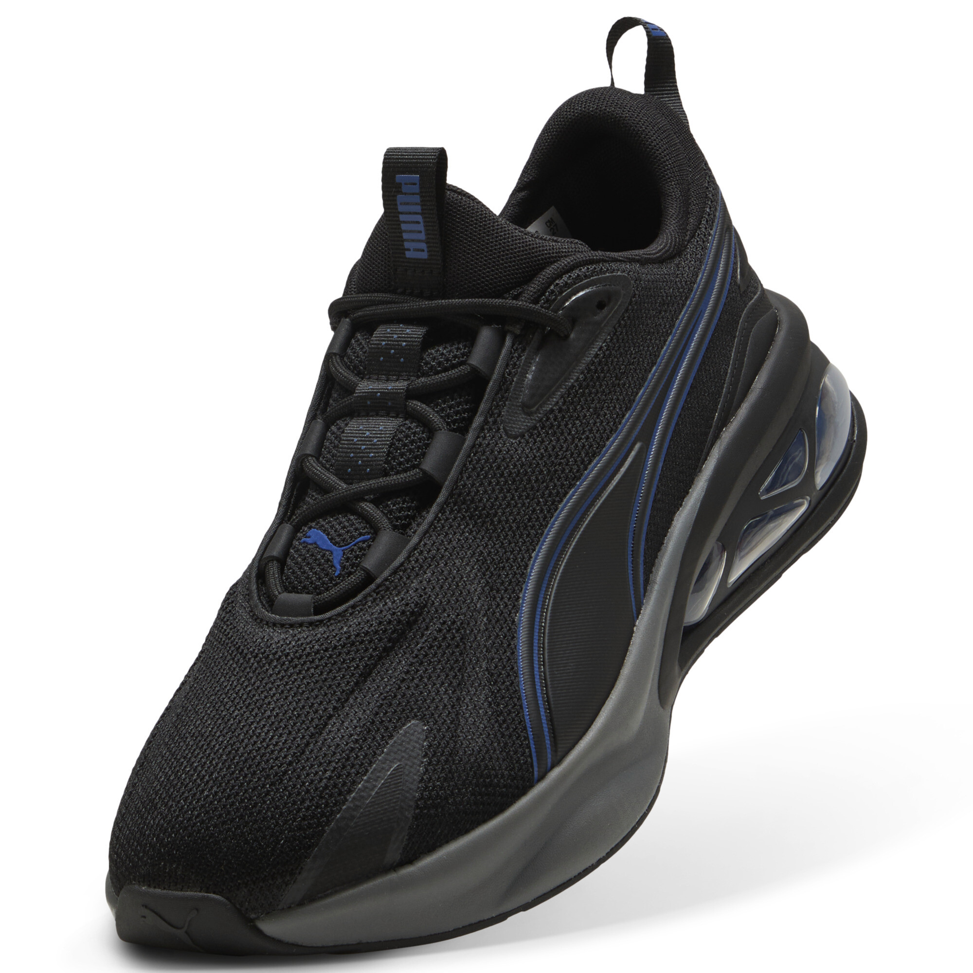 Puma ბოტასი