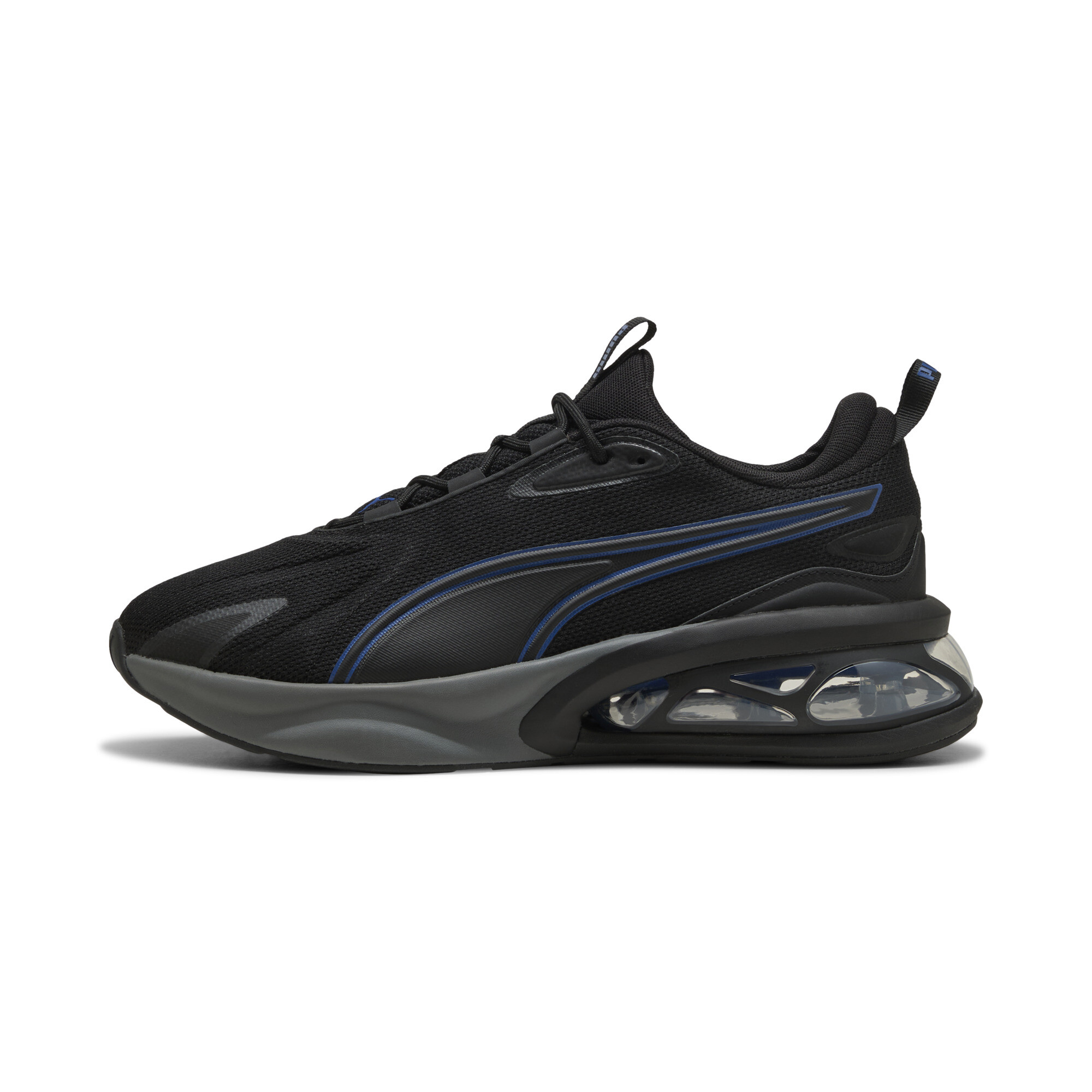 Puma ბოტასი
