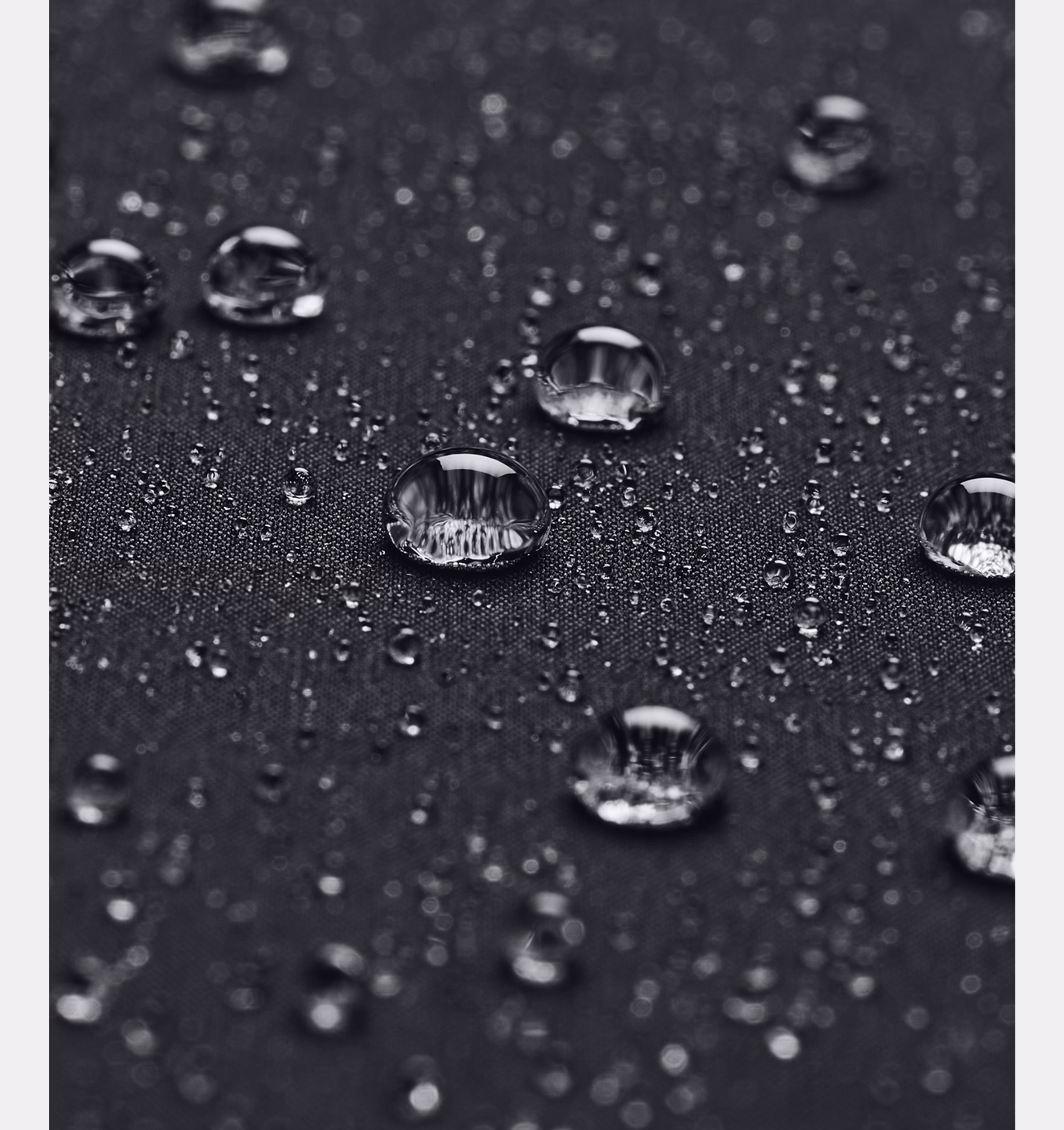 ქალის ჯემპრი