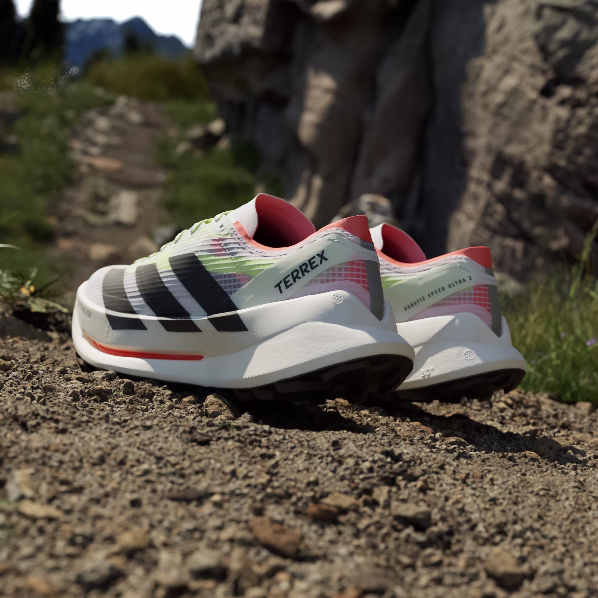 ქალის სპორტული ფეხსაცმელი