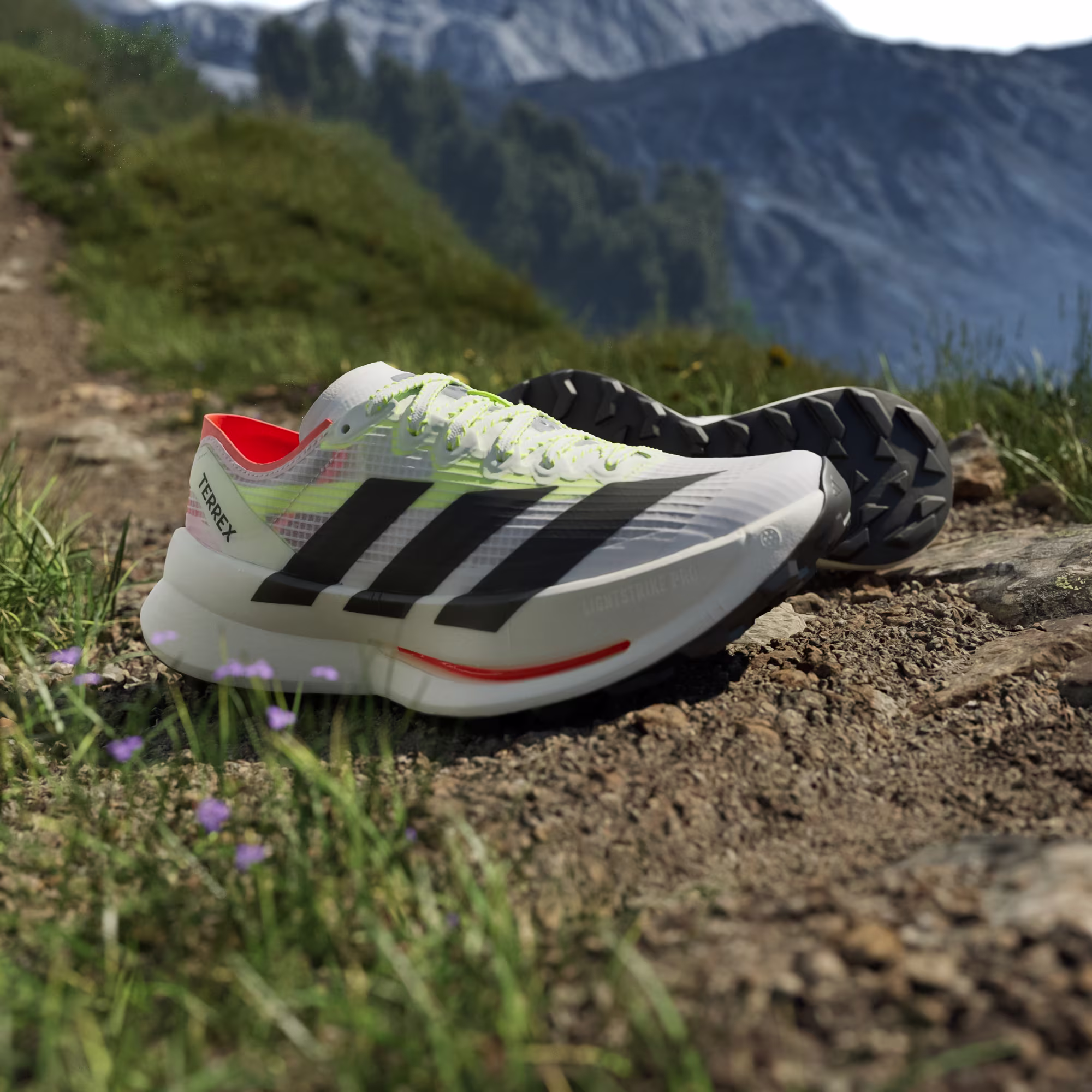 ქალის სპორტული ფეხსაცმელი