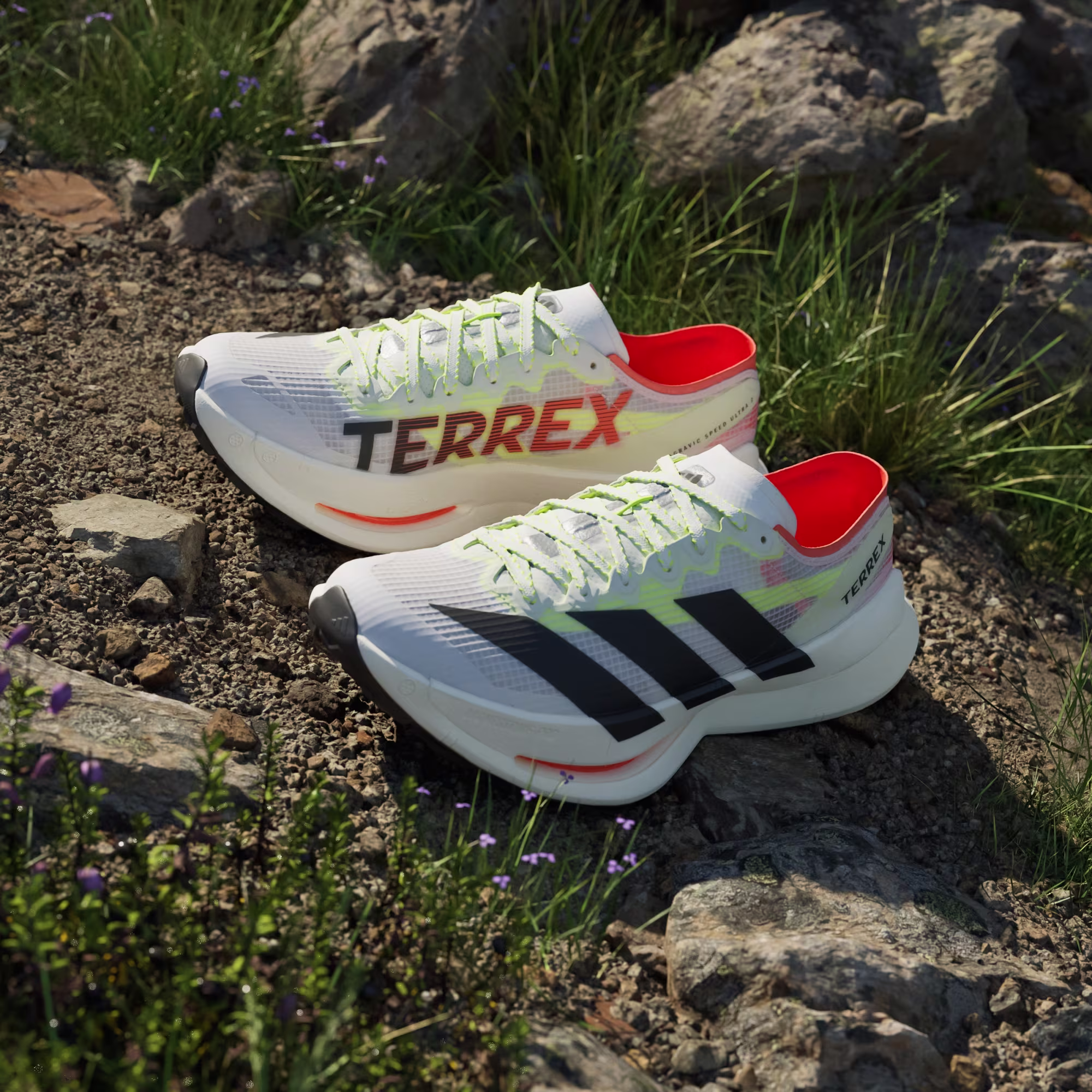 მამაკაცის სპორტული ფეხსაცმელი