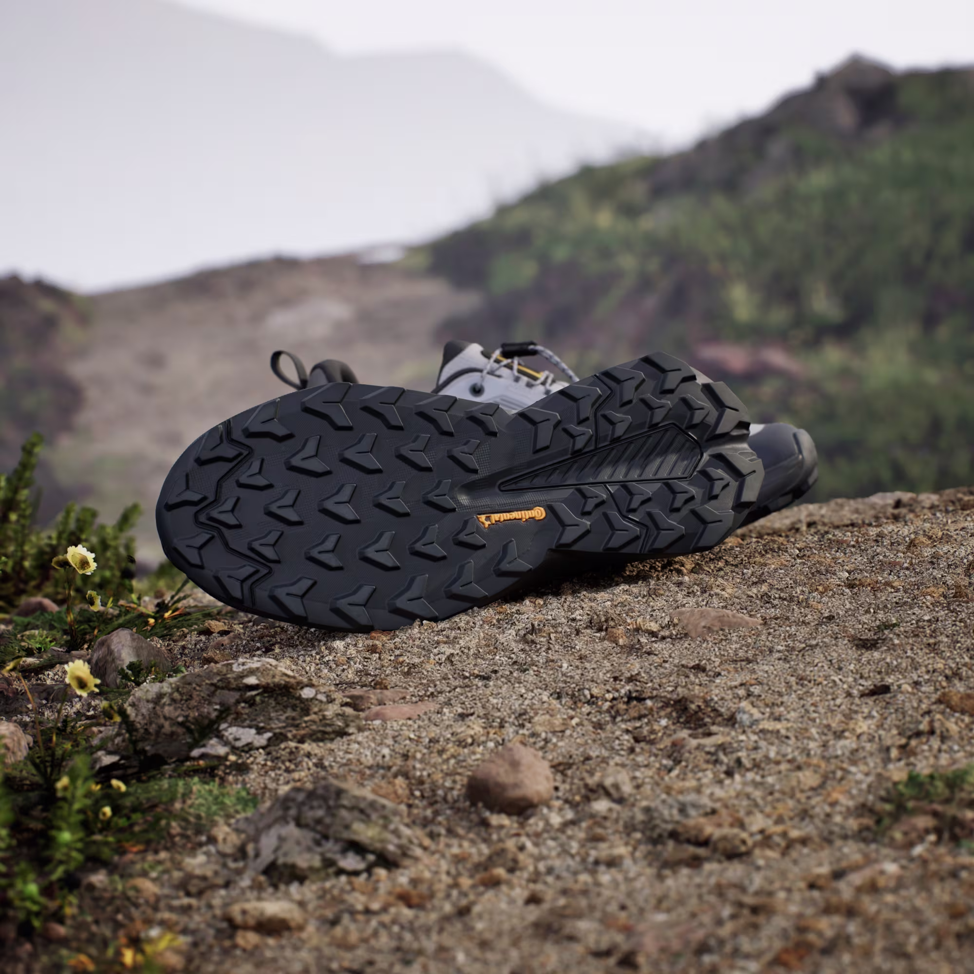 Adidas მამაკაცის სპორტული ფეხსაცმელი TERREX TRAILMAKER 2 GTX x NG