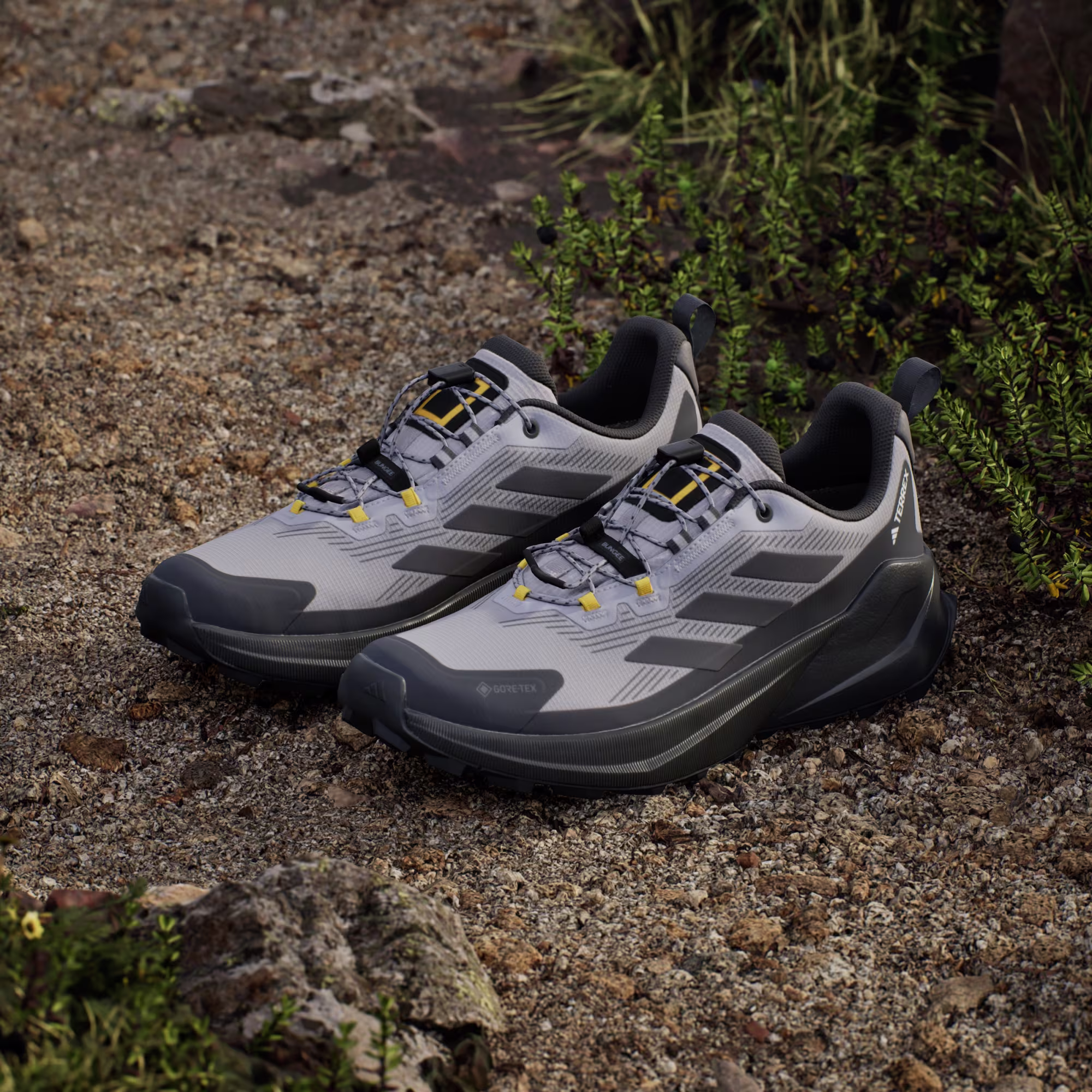 Adidas მამაკაცის სპორტული ფეხსაცმელი TERREX TRAILMAKER 2 GTX x NG