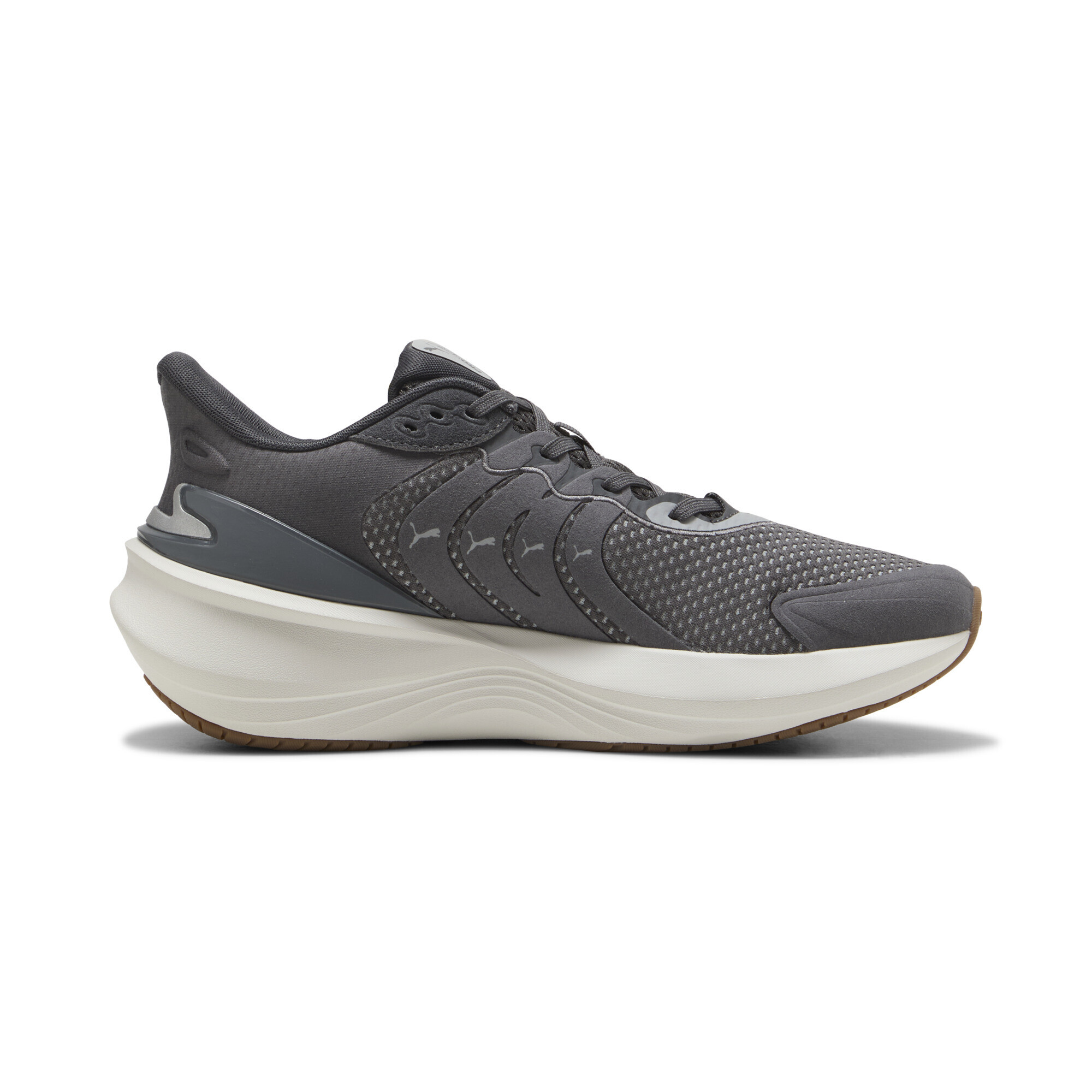Puma ბოტასი