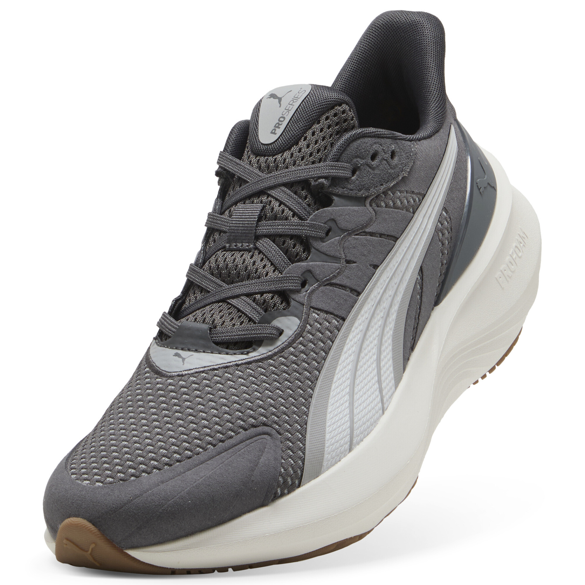 Puma ბოტასი