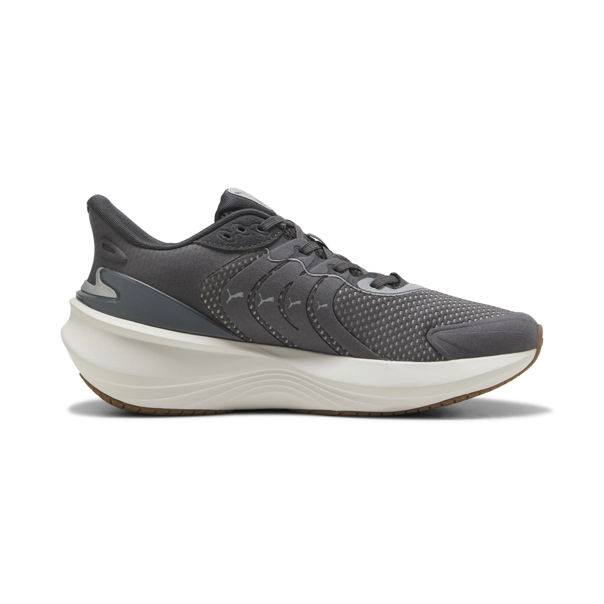 Puma ბოტასი