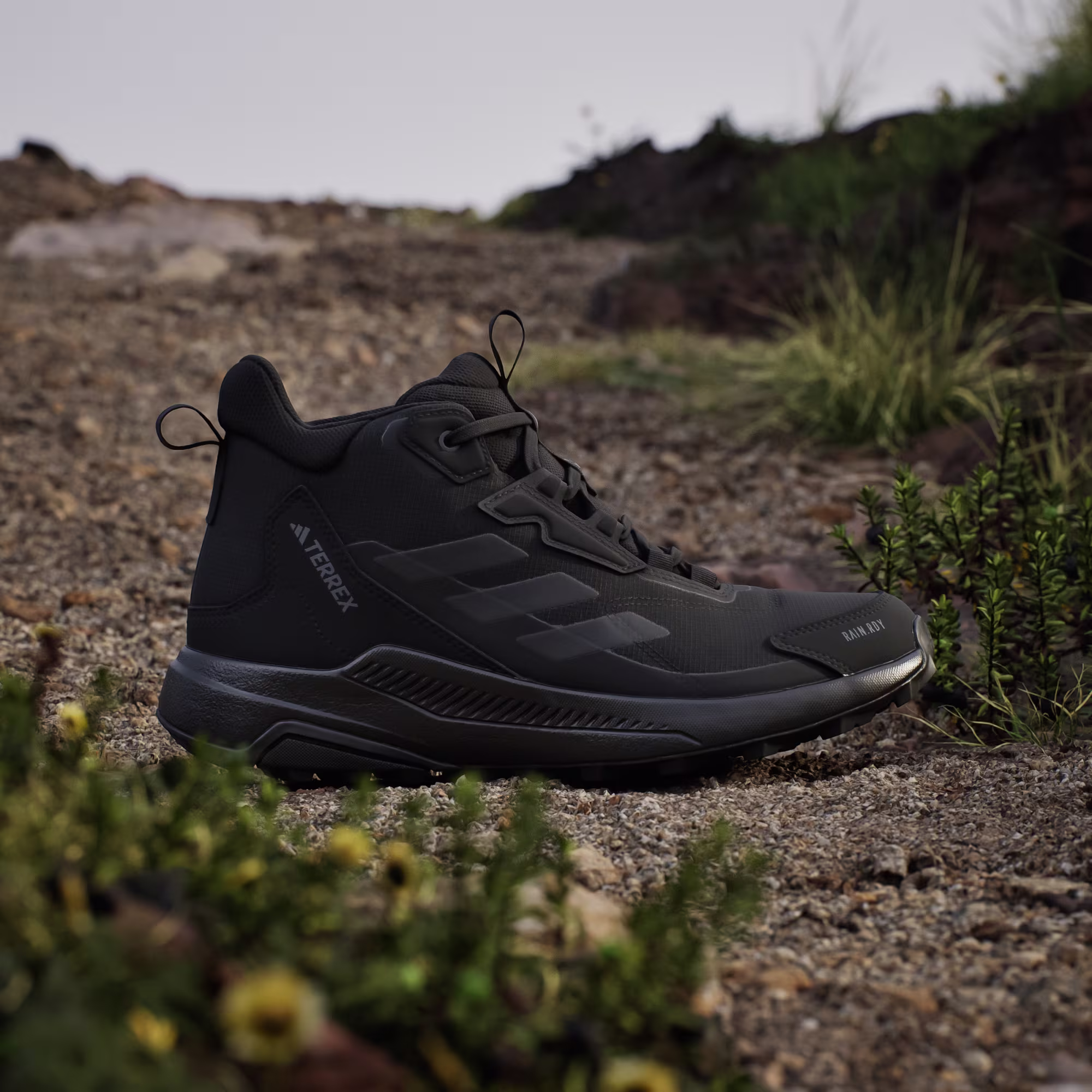 Adidas მამაკაცის სპორტული ფეხსაცმელი TERREX ANYLANDER MID R.RDY
