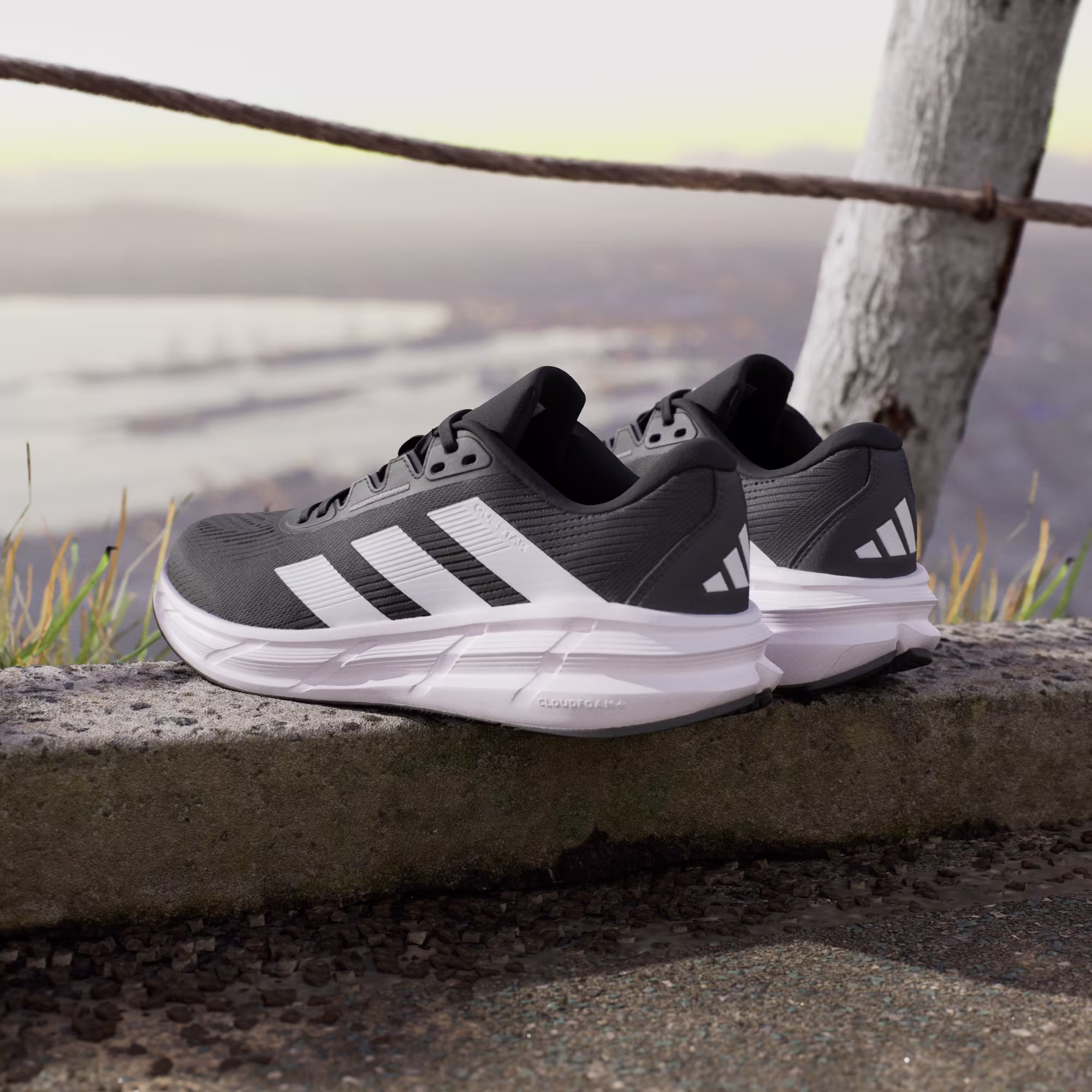 Adidas მამაკაცის სპორტული ფეხსაცმელი QUESTAR 3 M