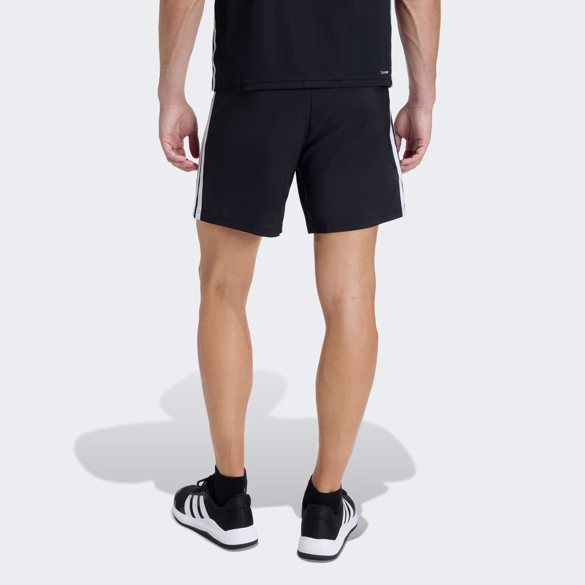 Adidas მამაკაცის შორტი