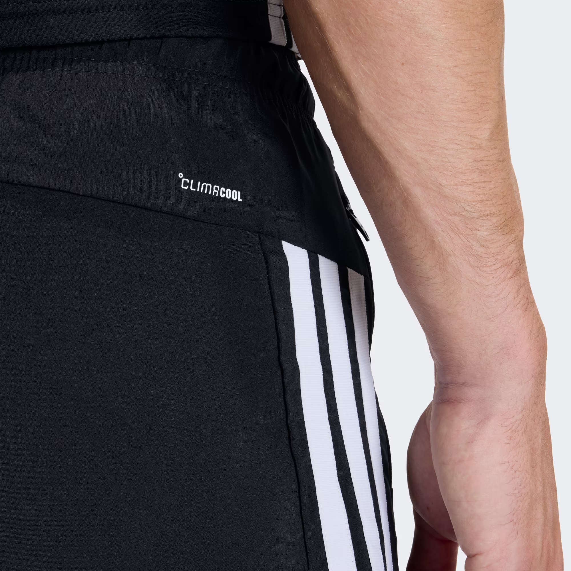 Adidas მამაკაცის შორტი