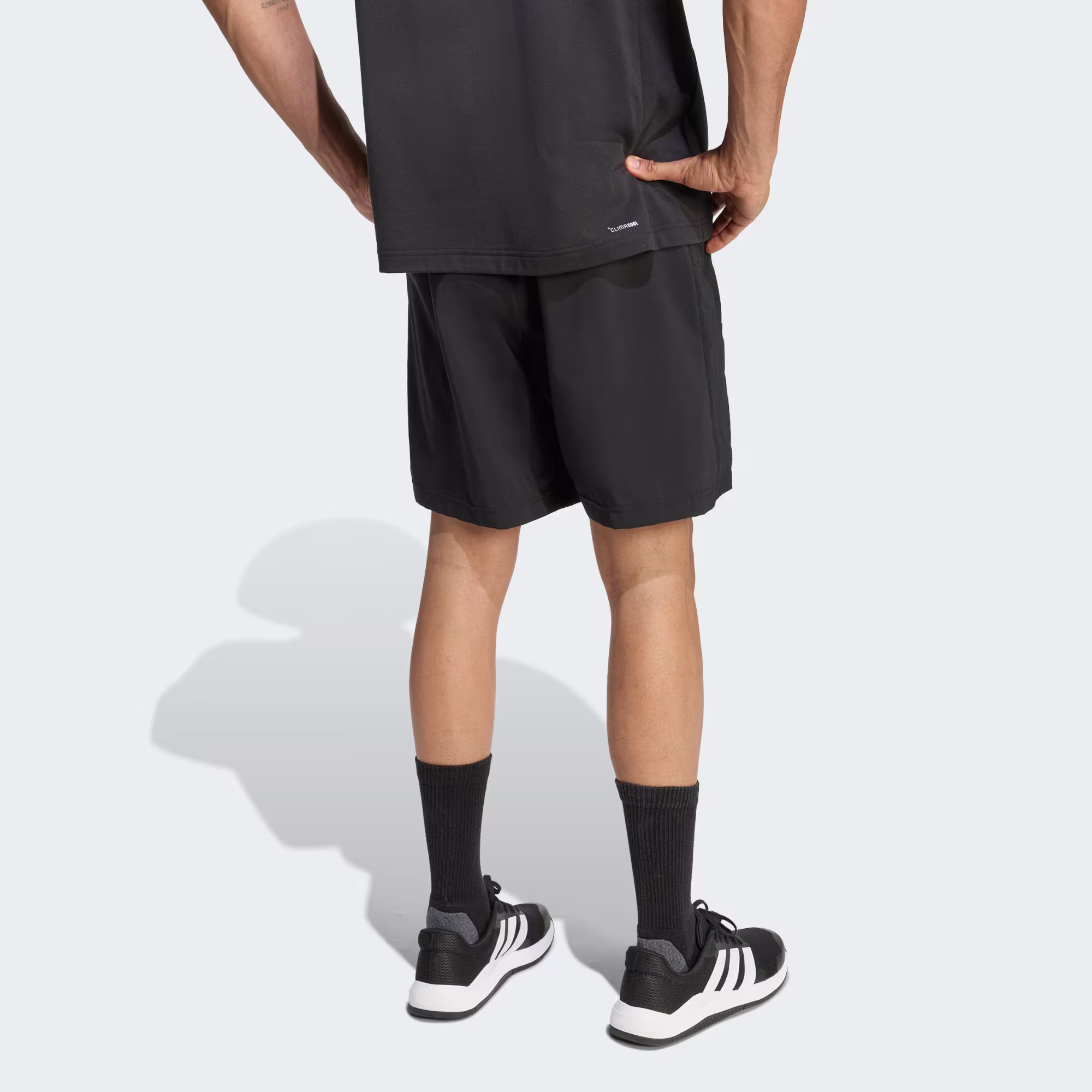 Adidas მამაკაცის შორტი