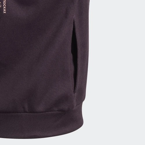 Adidas ბავშვის ჯემპრი G Tiger CU