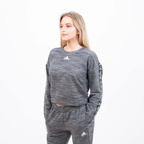Adidas ქალის ჯემპრი W E TPE SWT