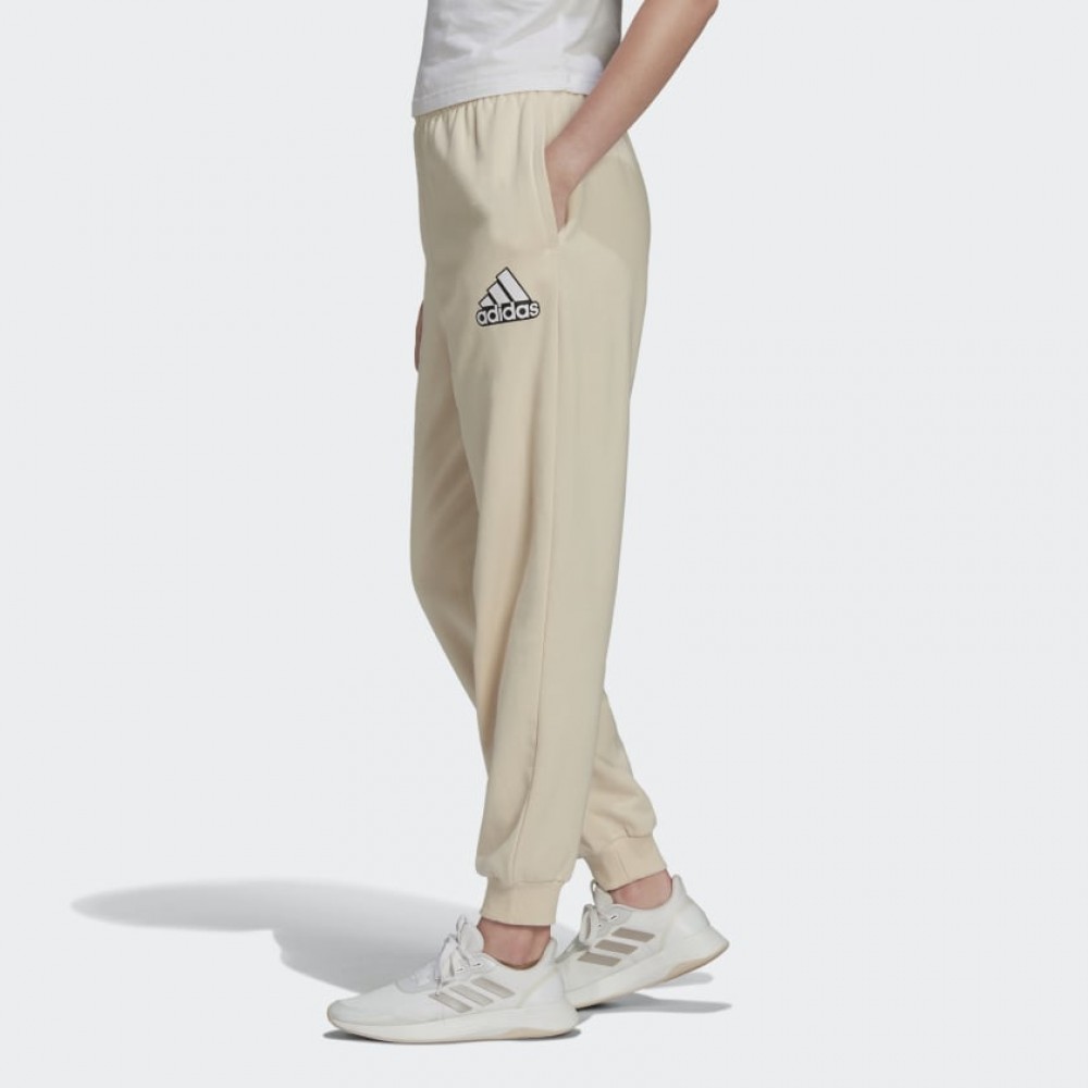 Adidas ქალის შარვალი W BLUV Q1 PT