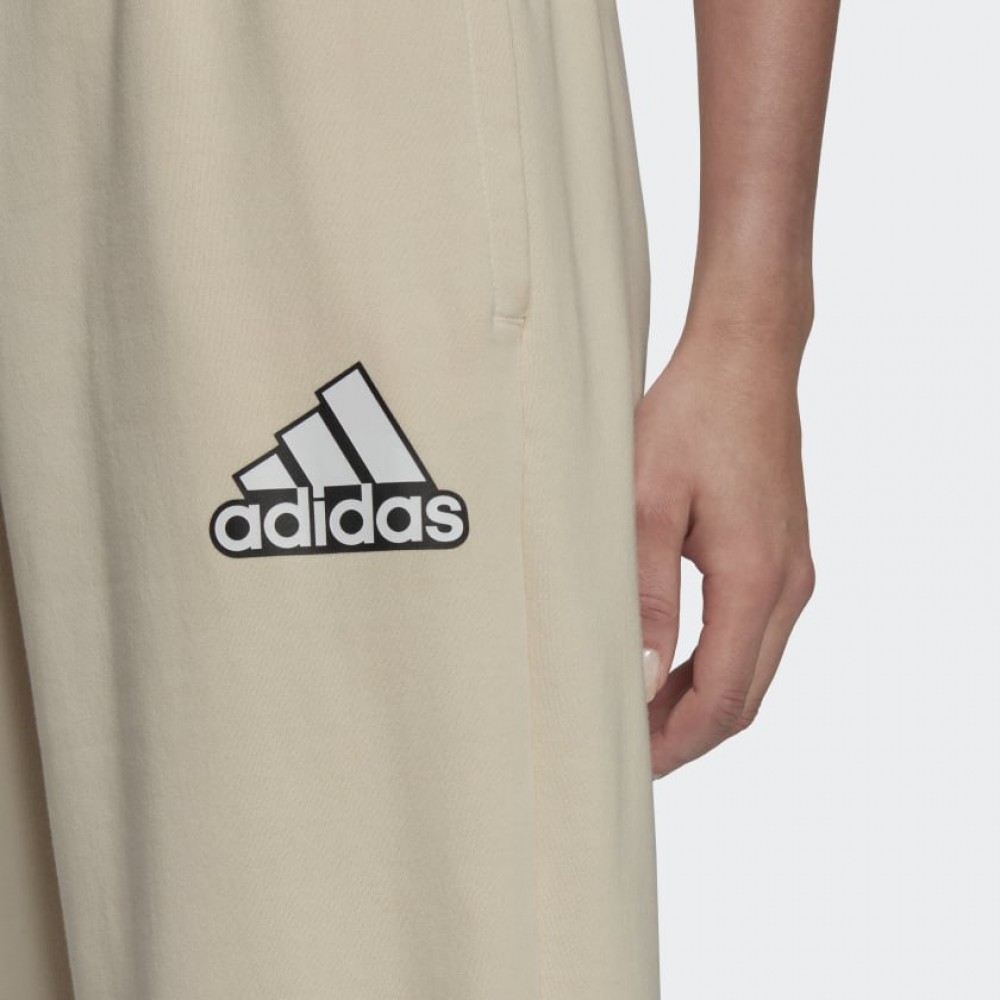 Adidas ქალის შარვალი W BLUV Q1 PT