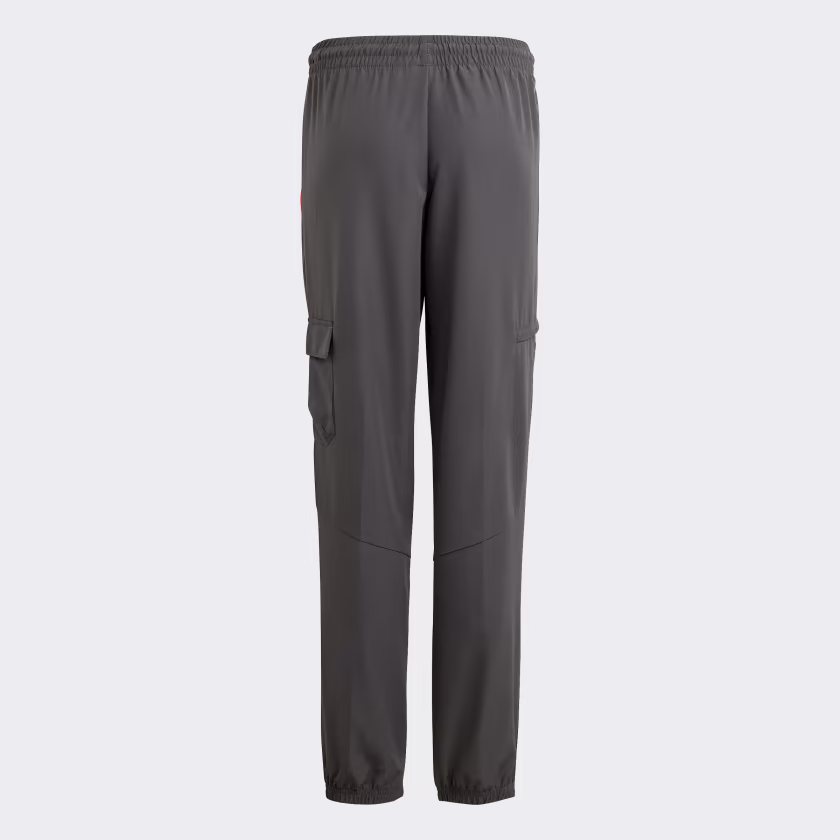 Adidas ბავშვის შარვალი U CE Q2 CRGO PT