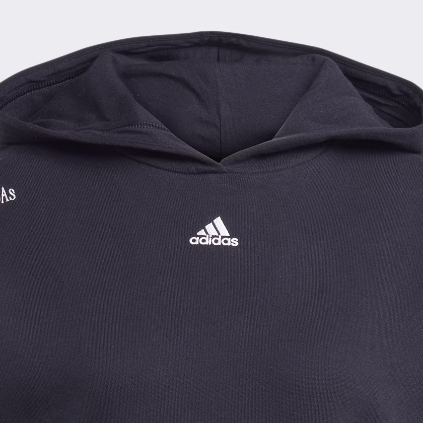 Adidas ქალის ჯემპრი BLUV Q1 HD SWT