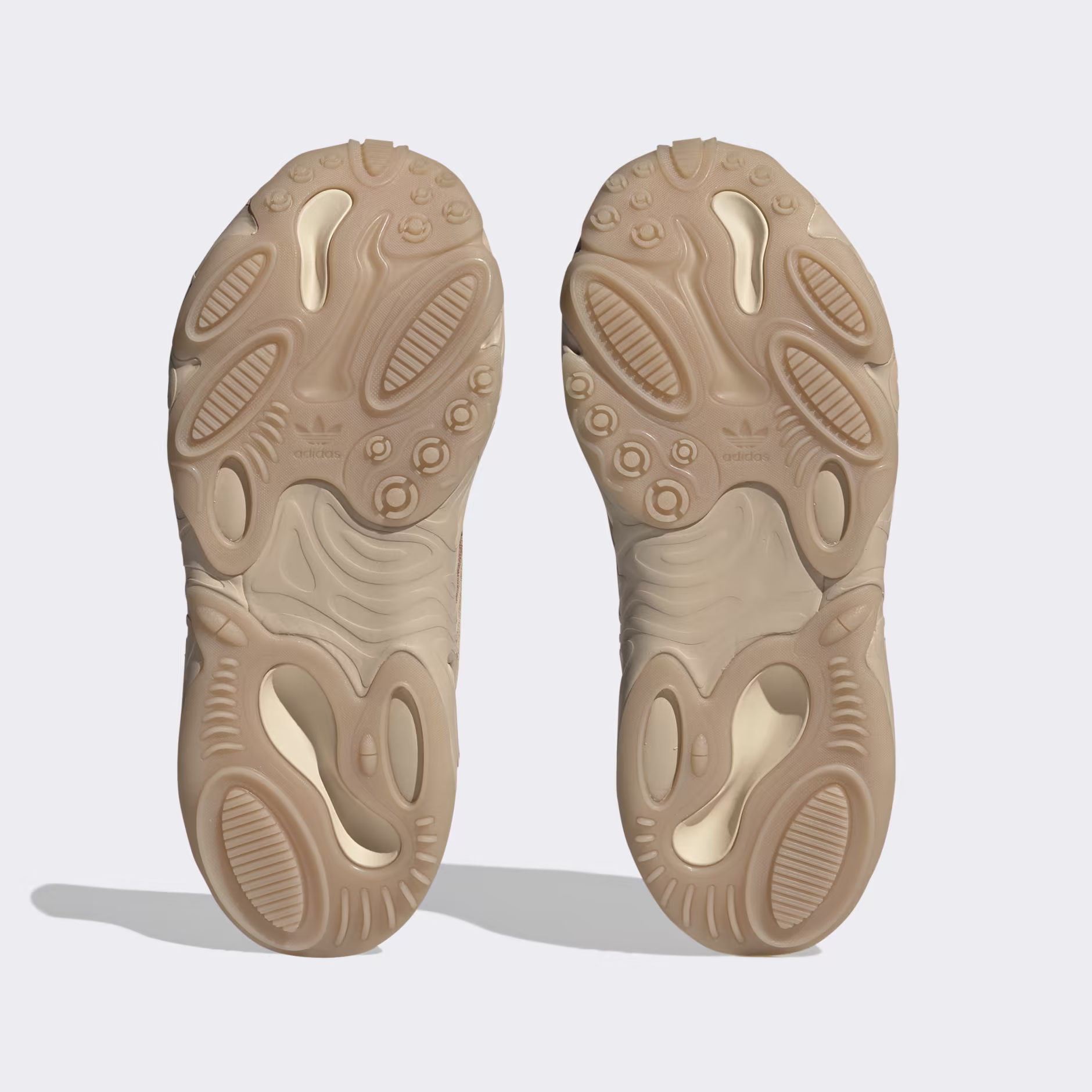 Adidas ქალის სპორტული ფეხსაცმელი OZNOVA W