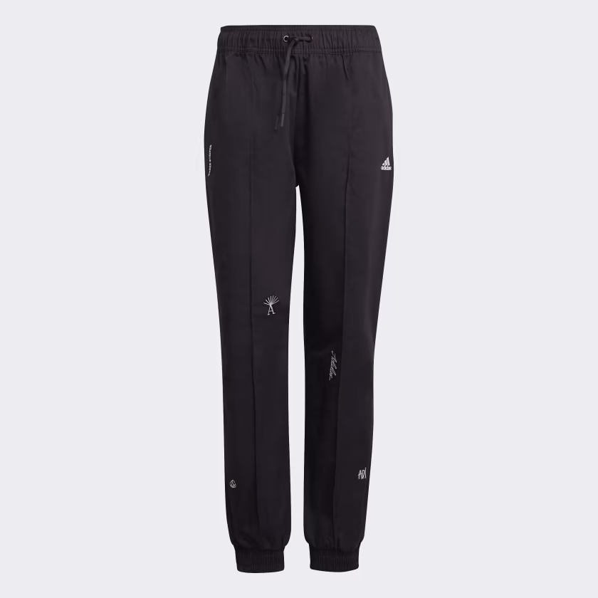 Adidas ქალის შარვალი BLUV Q1 B PT