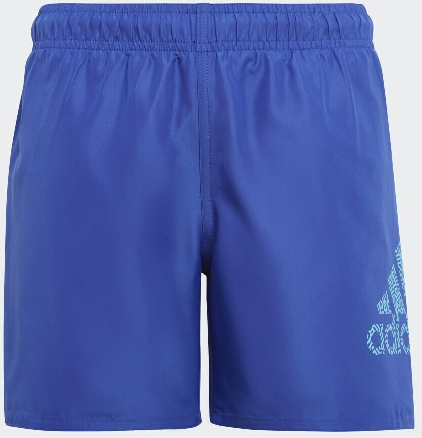 Adidas მამაკაცის საცურაო კოსტიუმი BOS CLX SL