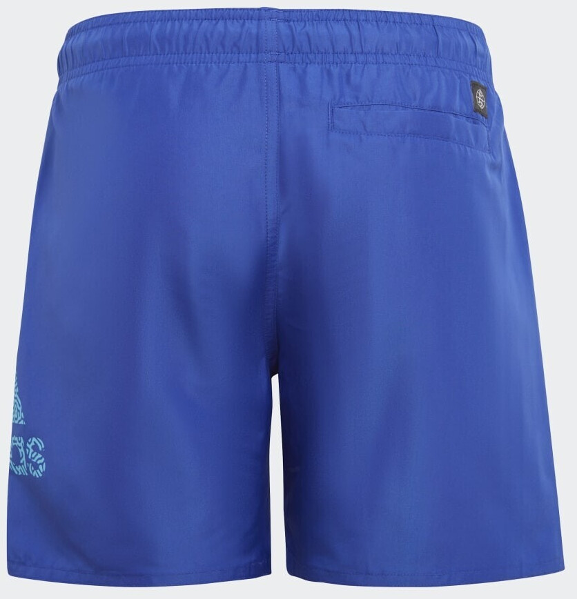 Adidas მამაკაცის საცურაო კოსტიუმი BOS CLX SL