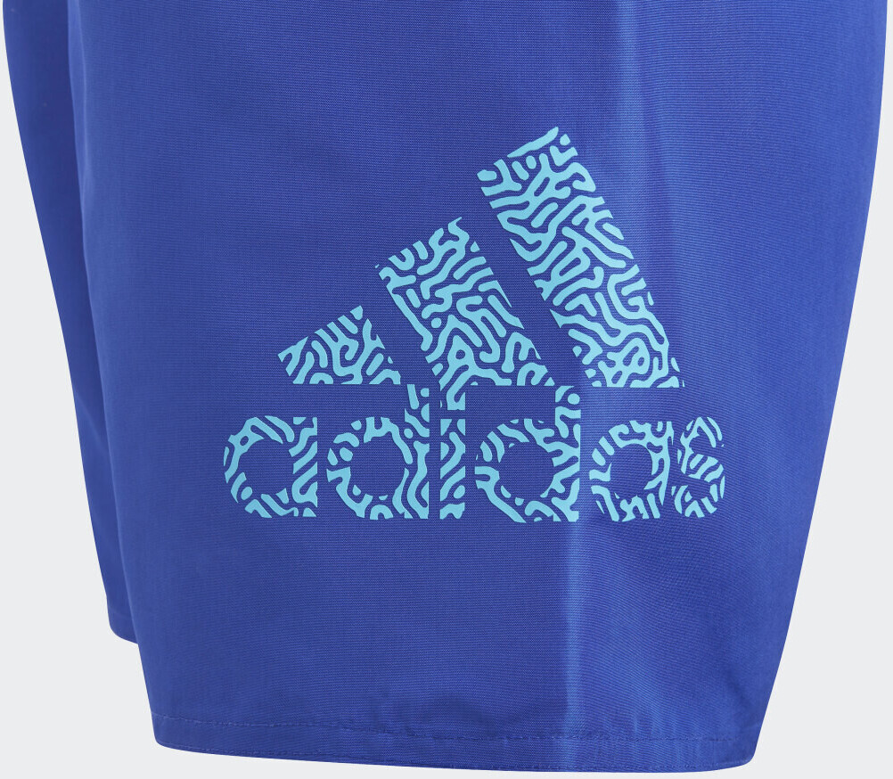 Adidas მამაკაცის საცურაო კოსტიუმი BOS CLX SL