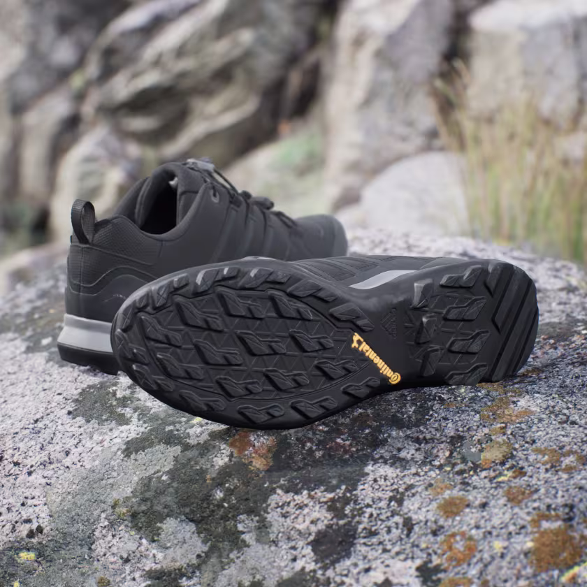 Adidas მამაკაცის სპორტული ფეხსაცმელი TERREX SWIFT R2 GTX