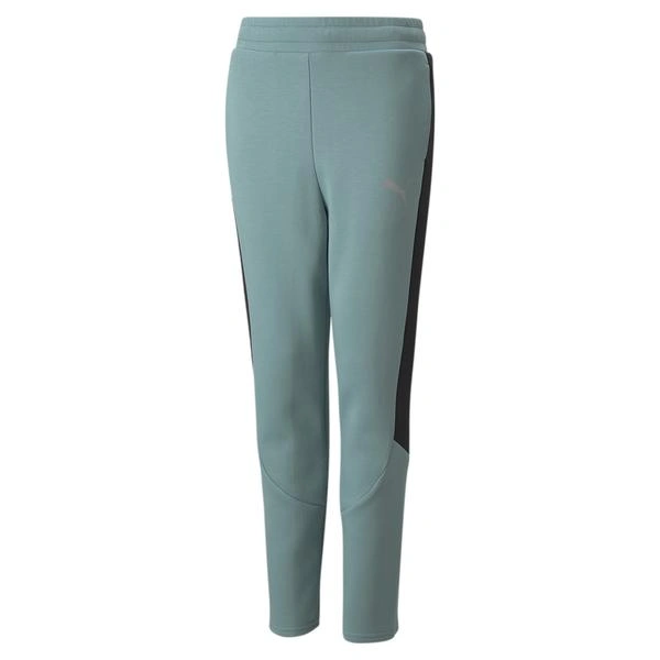Puma apparel Evostripe Pants DK B