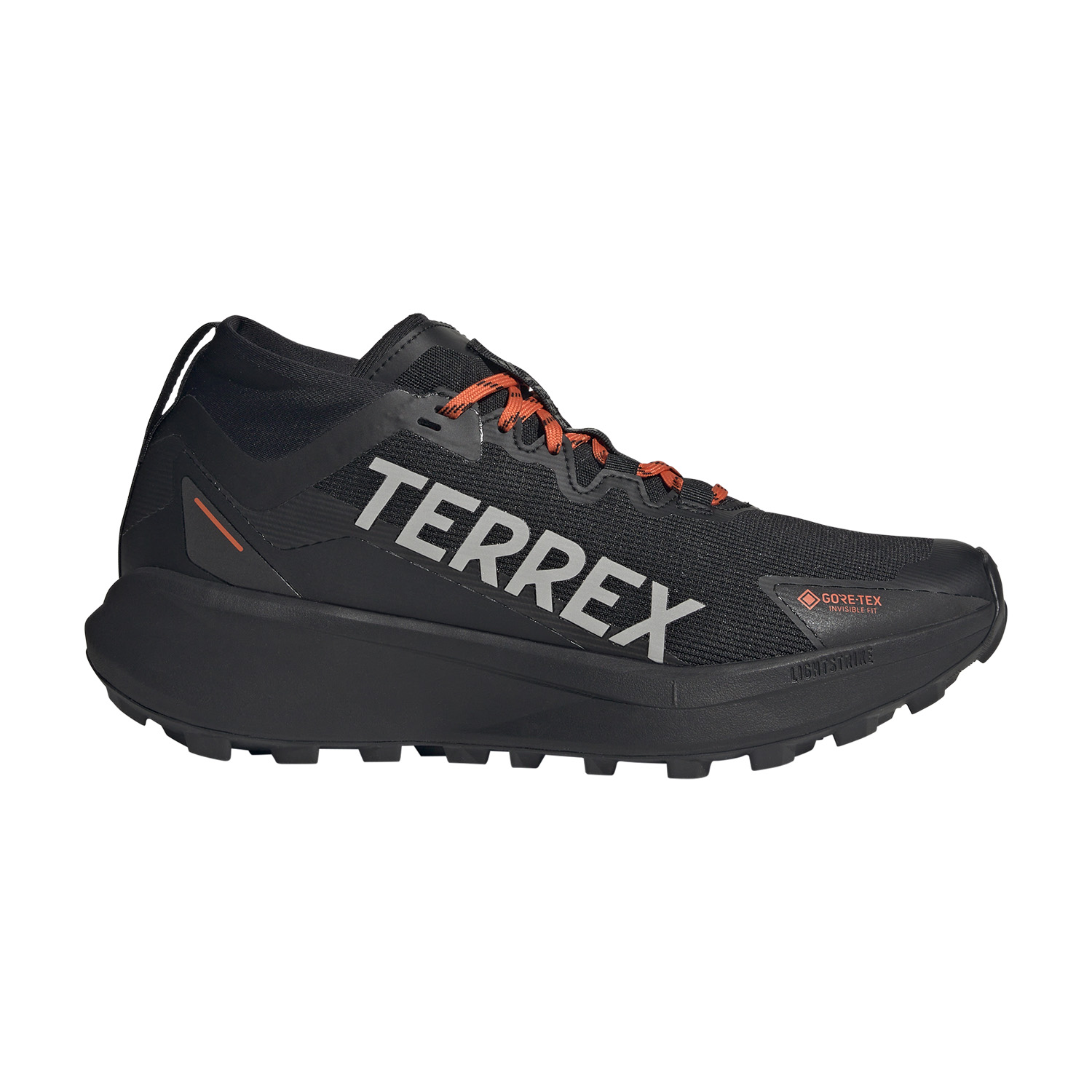 Adidas მამაკაცის სპორტული ფეხსაცმელი TERREX AGRAVIC GTX